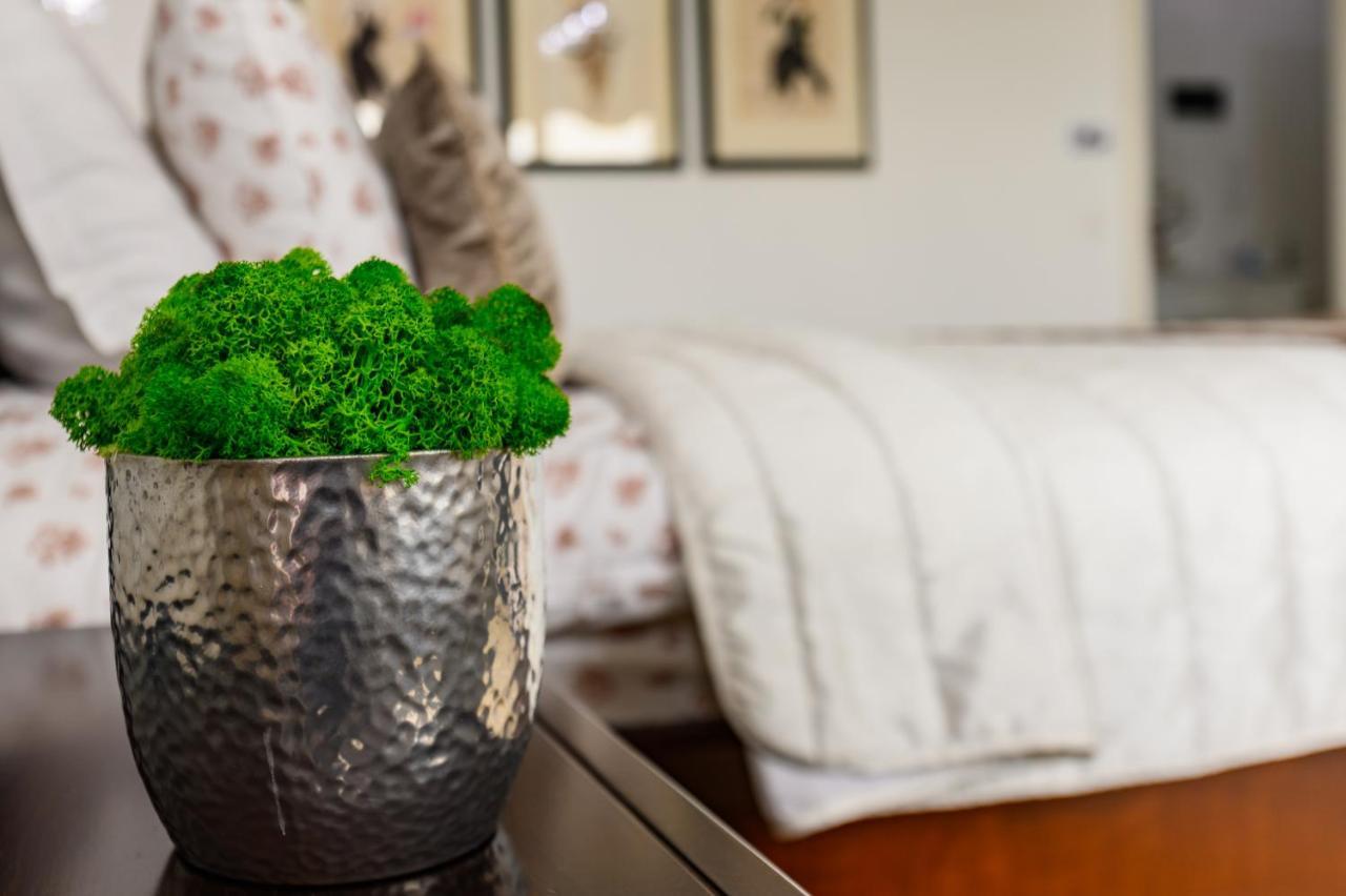 براشوف Luxury Apartment Avantgarden 3 المظهر الخارجي الصورة